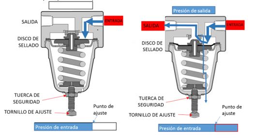 Imagen uno