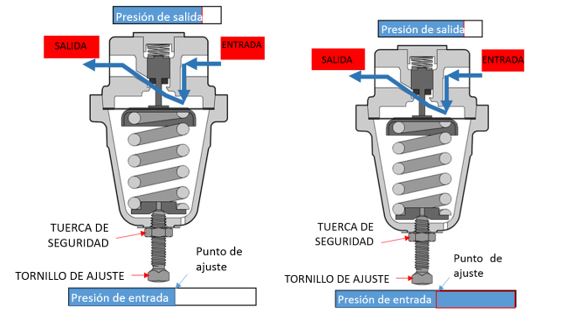 Imagen dos